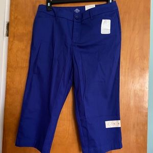 NWT St Johns Bay capris size 12